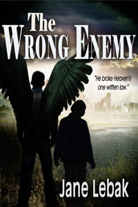 The Wrong Enemy 200x300